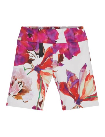 Colanti Guess, mix culori