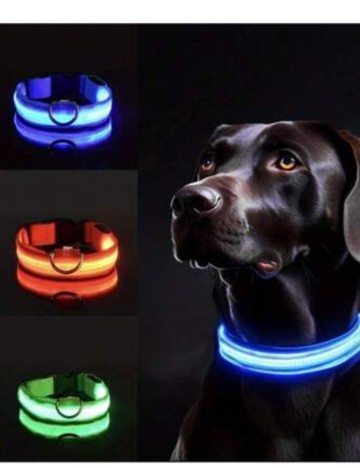 Zgardă Shein, verde