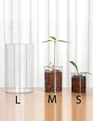 Ghiveci Shein, transparent