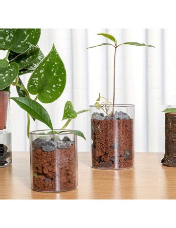 Ghiveci Shein, transparent