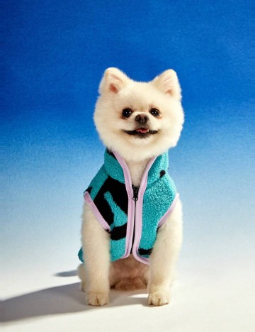 Haină pentru animale Shein, mix culori