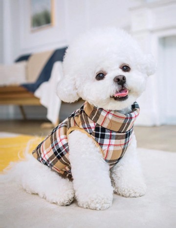 Haină pentru animale Shein, mix culori